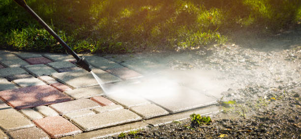 Best Animal Enclosure Cleaning  in Prichard, AL